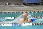 Swimming & Diving vs Babson  Swimming & Diving vs Babson College. - Photo by Keith Nordstrom : Wheaton, Swimming